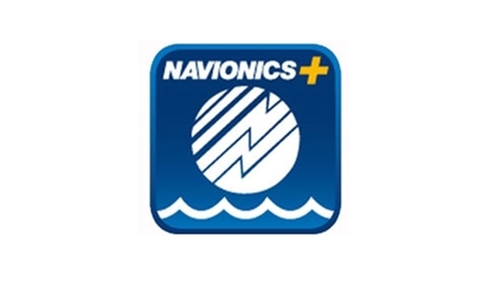 Picture of Navionics Gold Small Update (DWL001) Each