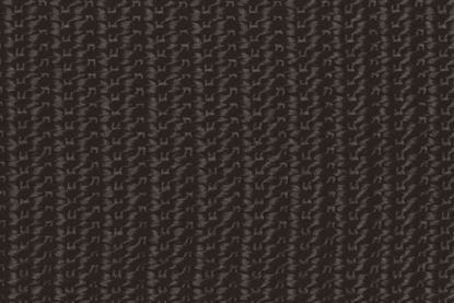 Picture of Webbing Polyprop Black 25mm (W09652950) Metre