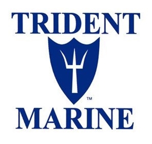Picture for brand Trident