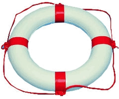 Picture of Ring Lifebuoy White/Red 35 x 60cm (AQM010002) Each