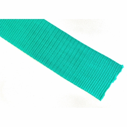Picture of Webbing Polyprop Green 25mm (W09652) Metre